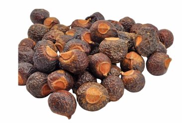 soap nuts